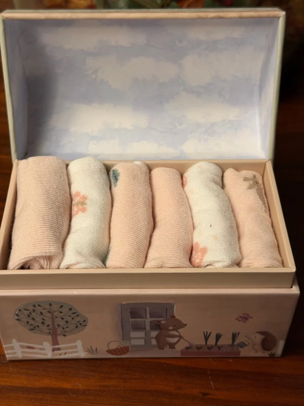 ELEGANT BABY infant GARDEN PICNIC NON SLIP SOCKS 6PK